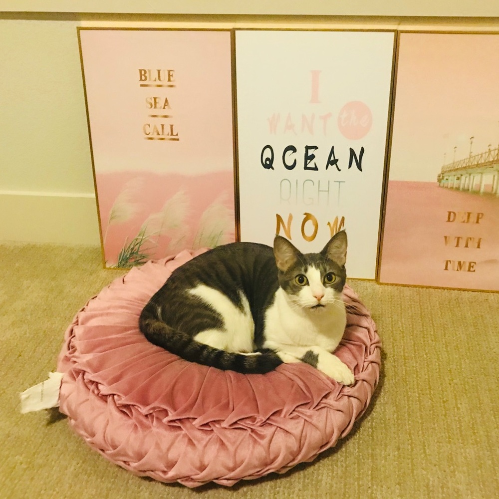 Meet your Posher, Miki